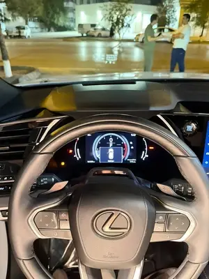Lexus RX 350 thumbnail 10