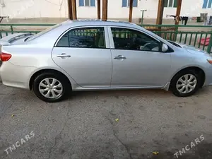 listing-image-2