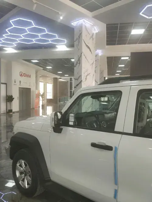 GWM TANK 300 — 6/7