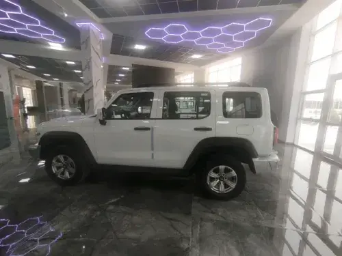 GWM TANK 300 — 7/7