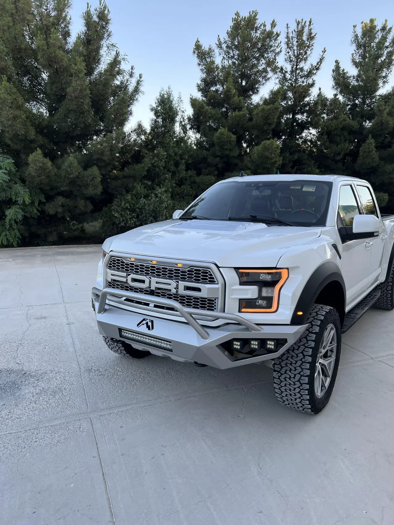 Ford F150 — 2/9